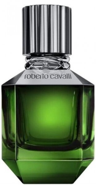 Roberto Cavalli Paradise Found EDT 50 ml Erkek Parfümü kullananlar yorumlar